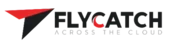 Flycatch